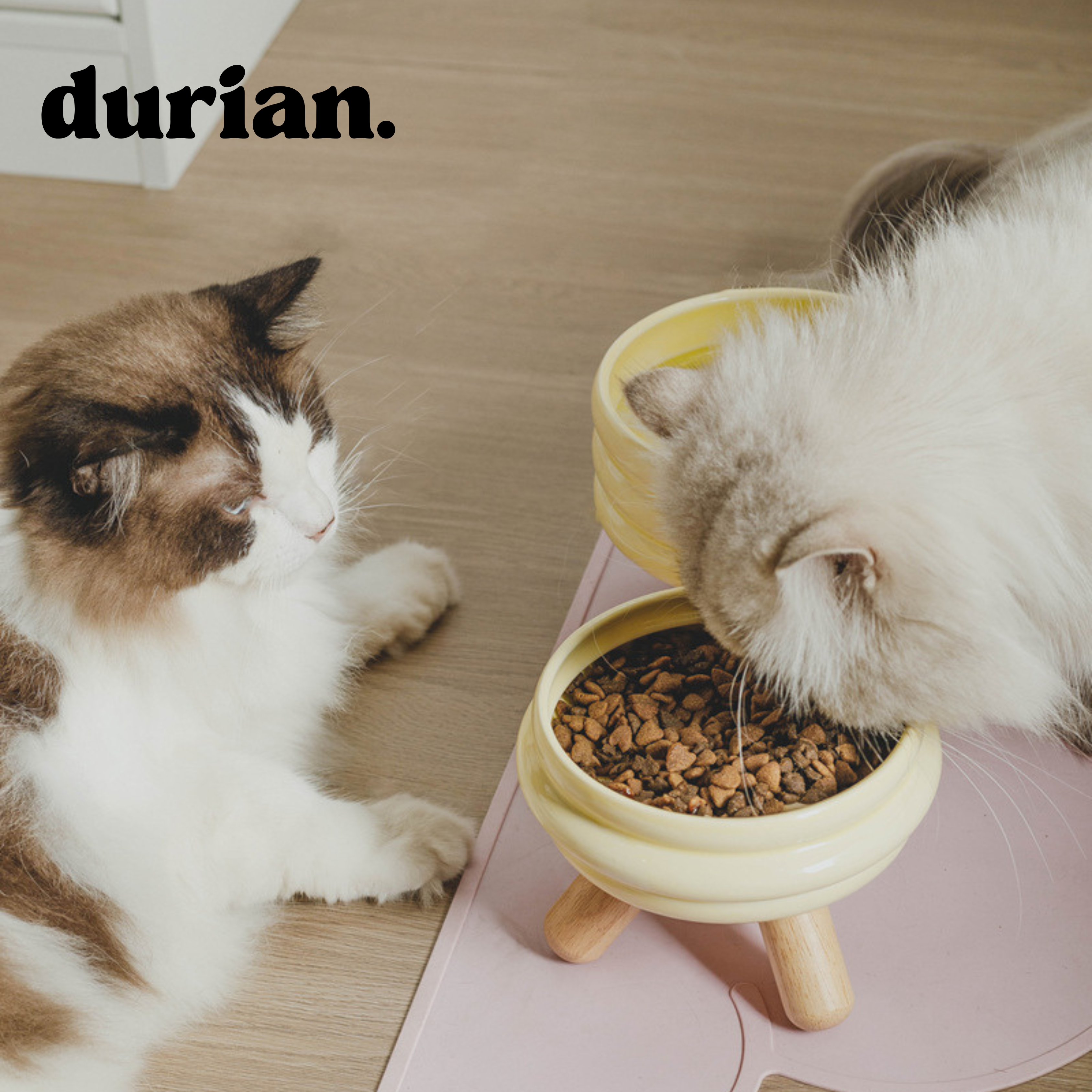 durian. ペットフードボウル 陶磁器製 高脚デザイン|猫犬兼用 食器台付き フードボウル&ウォーターボウル