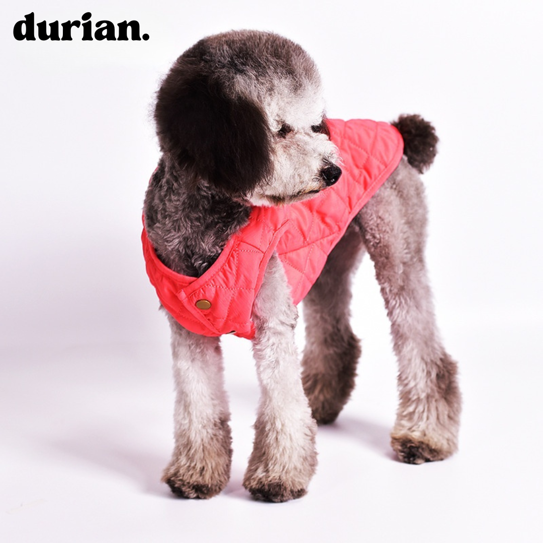 durian. 犬用キルティングベスト|軽量あったか中綿入りジャケット 防寒コート 小型犬・中型犬用