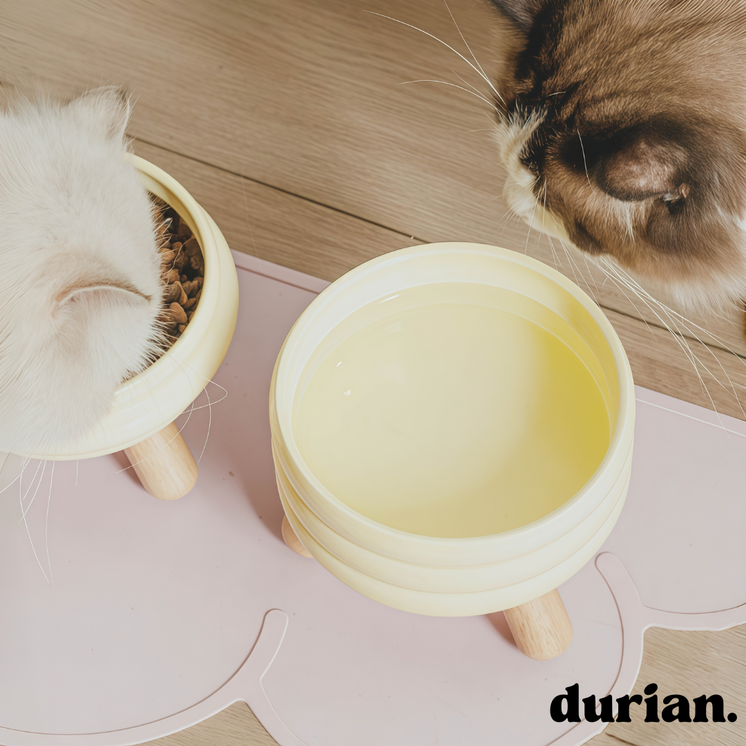 durian. ペットフードボウル 陶磁器製 高脚デザイン|猫犬兼用 食器台付き フードボウル&ウォーターボウル