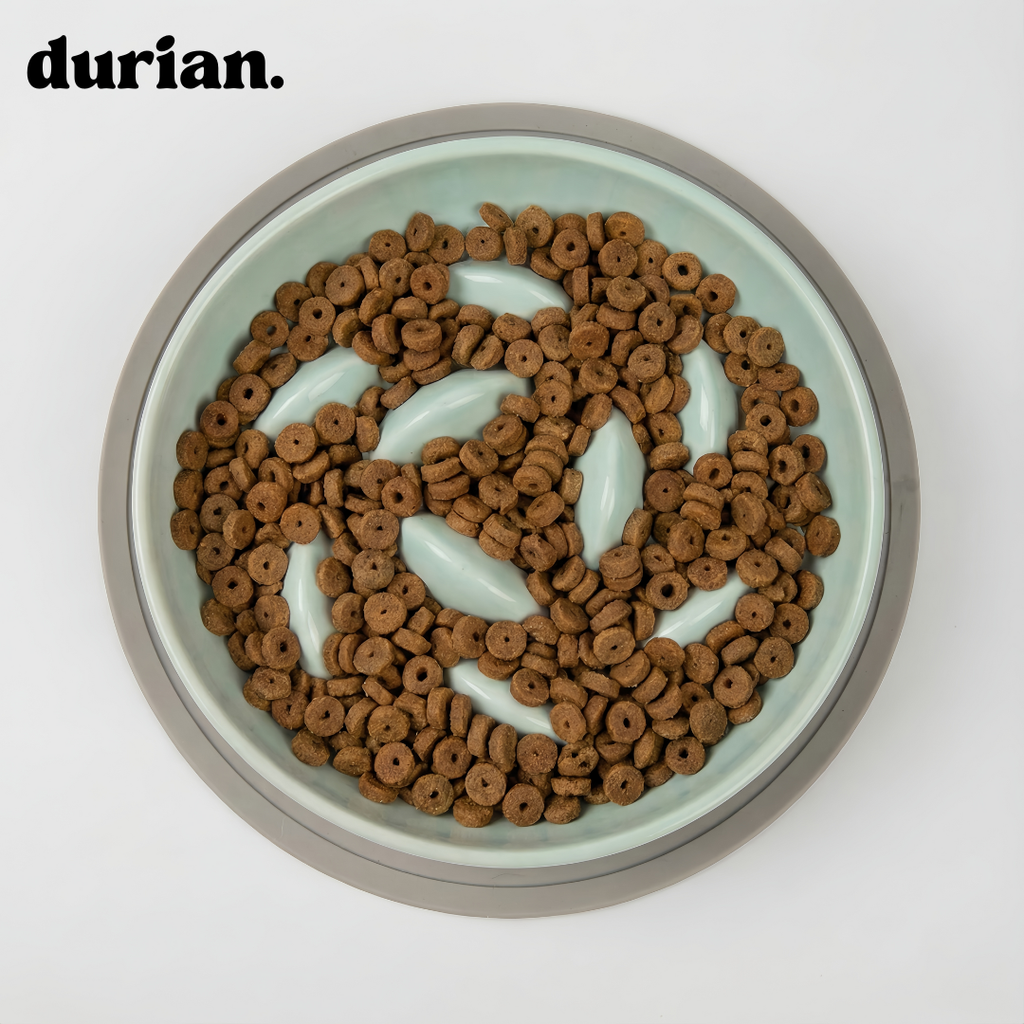 durian 食べるスピードをやさしく整えたい方に｜陶器製スローフィーダーボウル。