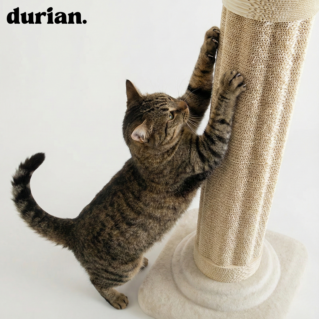 durian ローマ柱デザイン 立て型つめとぎ