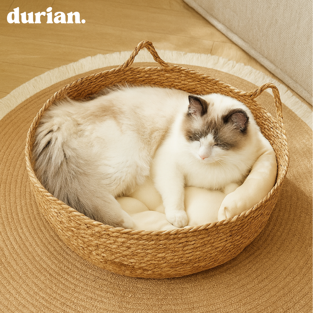 durian. 蒲草ペットベッド クッション付き おしゃれ猫犬兼用ベッド 通気性抜群 ナチュラルインテリア