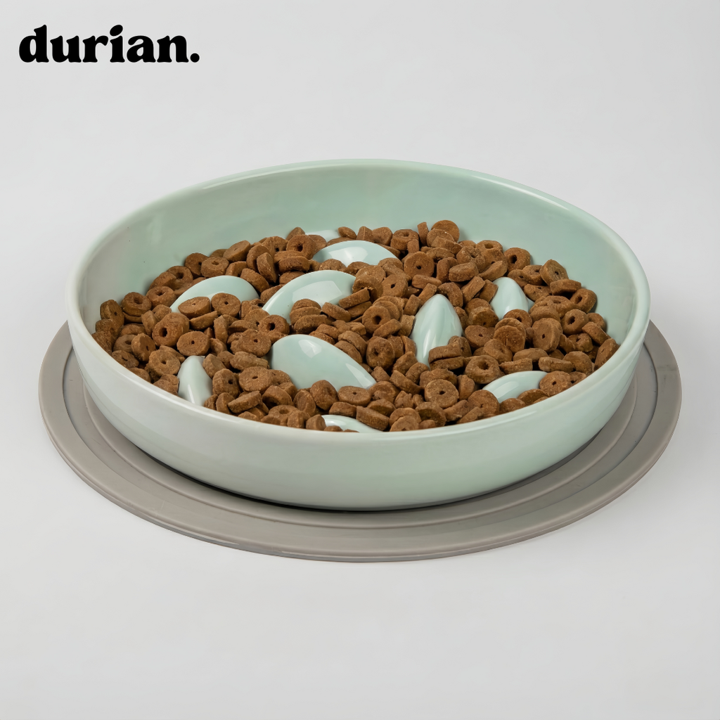 durian 食べるスピードをやさしく整えたい方に｜陶器製スローフィーダーボウル。