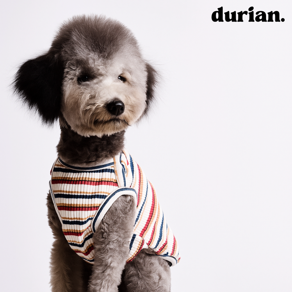 durian｜コットンリブ・ボーダータンク 高伸縮・ソフトフィット